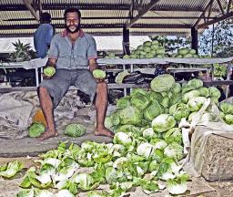 The Cabbage Man