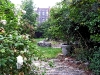 Community garden