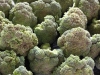 Produce at the Madang Market - Jan Messersmith