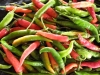 Produce at the Madang Market - Jan Messersmith