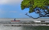 More Canoe Art