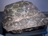 rom_crystals_img_2357
