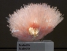 rom_crystals_img_2367