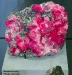 rom_crystals_img_2390
