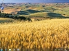 Desktop - Landscape Theme