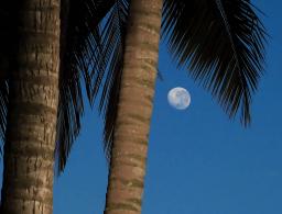 The moon again