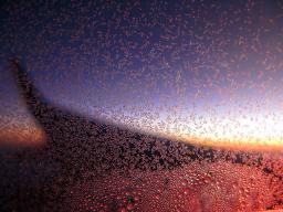 Orange Ice