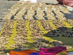 Peanuts for munching