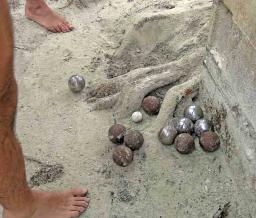 Petanque boules huddled together