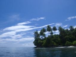 With no polarizer effect