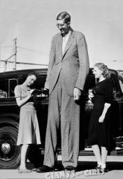 Robert Pershing Wadlow