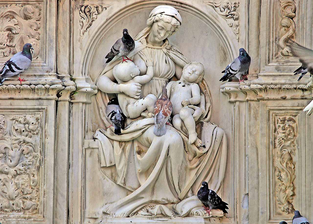 Pigeons dissing baby Jesus and his sidekick, John the Baptist Pigeons dissing baby Jesus and his sidekick, John the Baptist