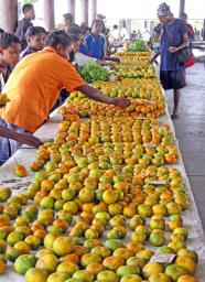 Tangerines