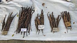 Local wild tobacco - very strong