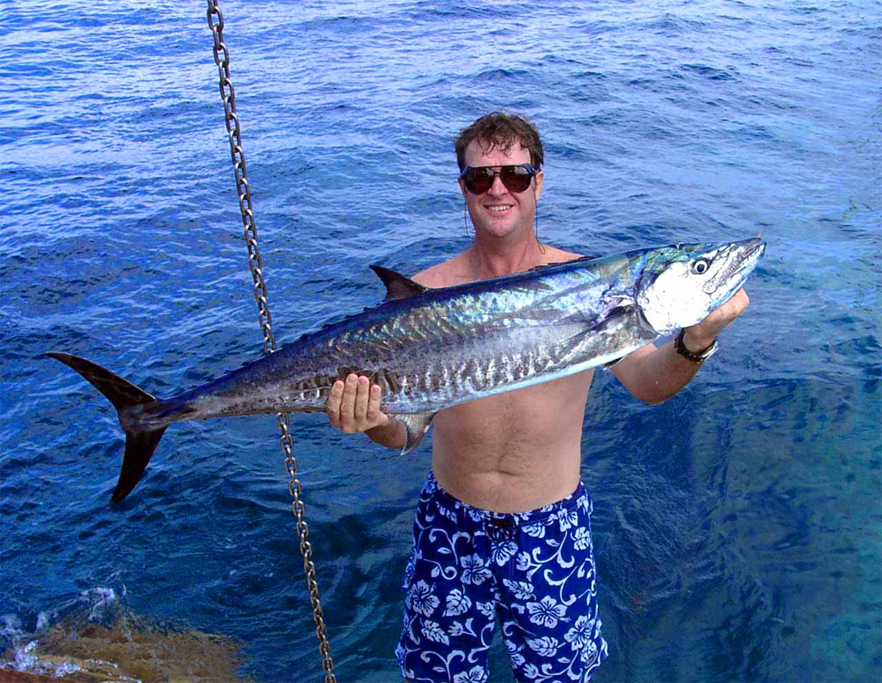 tony_collins_spanish_mackerel_05010001.jpg