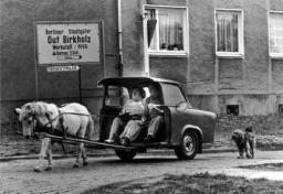 The horsed horseless carriage 2.