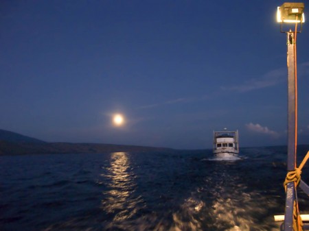 Moonighting in the Moonlight