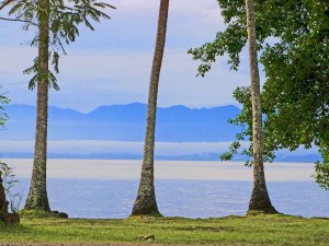 The Finnesterre Mountains, Madang, Papua New Guinea