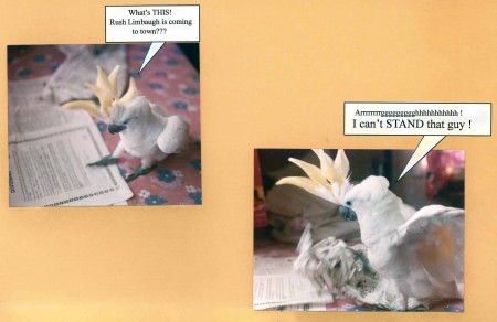 Sysgen - The Cockatoo that Loathed Rush Limbaugh