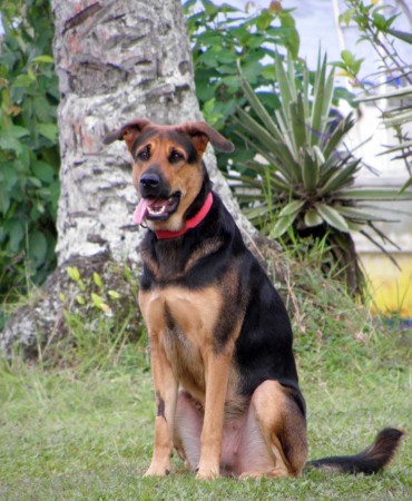 Our Sheba