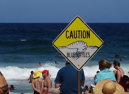 A Blue Bottle Jellyfish warning on an Australian beach