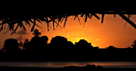 Flying Fox Sunrise