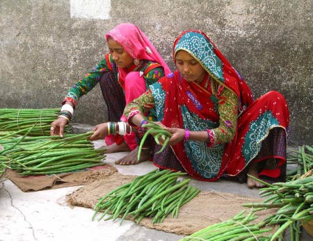 In India, women sort green beans - Heidi Majano