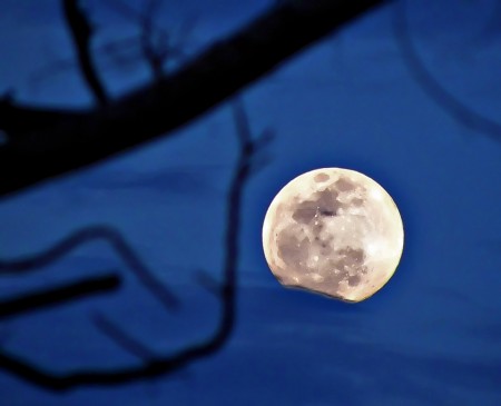 Shooting the Moon with the Olympus SP-590UZ