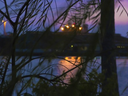 Willow Sunrise