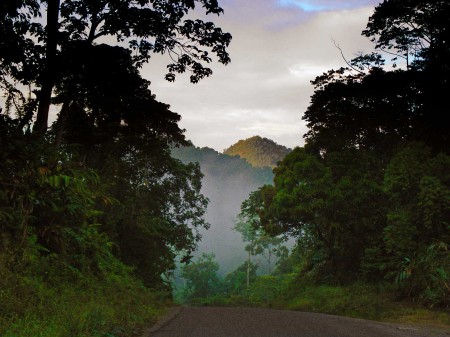 On the road from Madang to Wara Ais - nearing the Ramu Valley