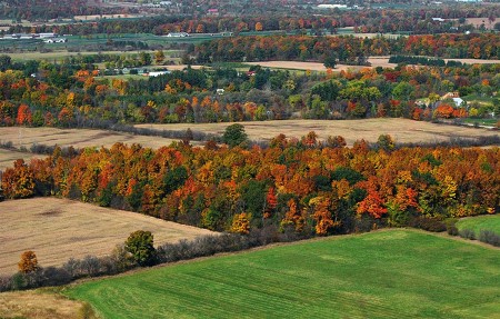 Canadian Autumn by Ron Barrons