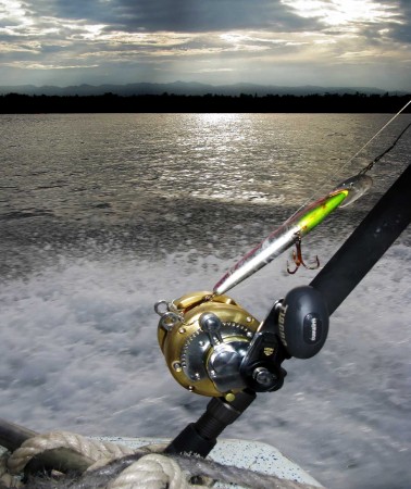 Fishing reel in the afternoon.