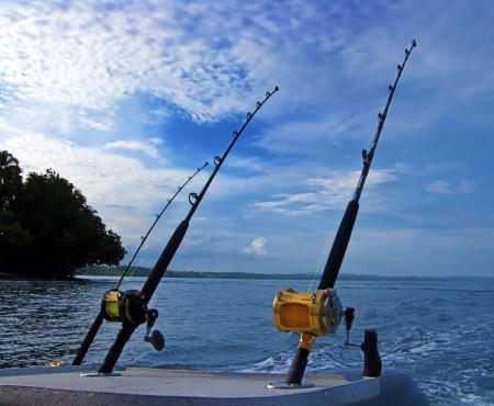 Fishing Rods against the sky