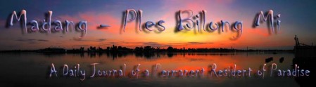 Big Pink Sunrise Header