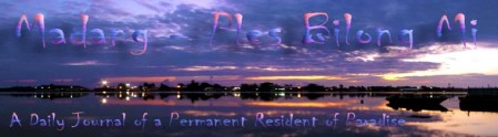 Crazy Purple Header