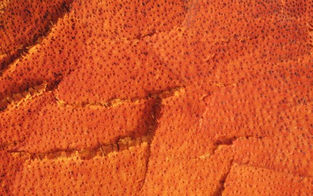 Mystery image - view 1