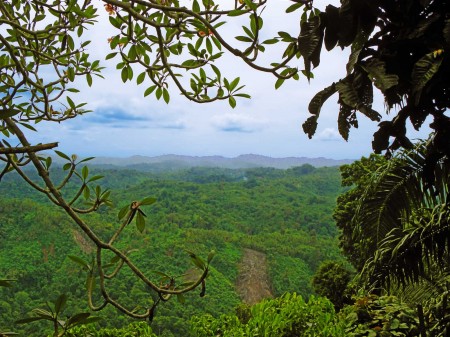 View from Nob Nob Mountain showing gardens
