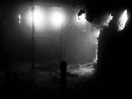 Interior of The Henry Leigh near Wongat Island
