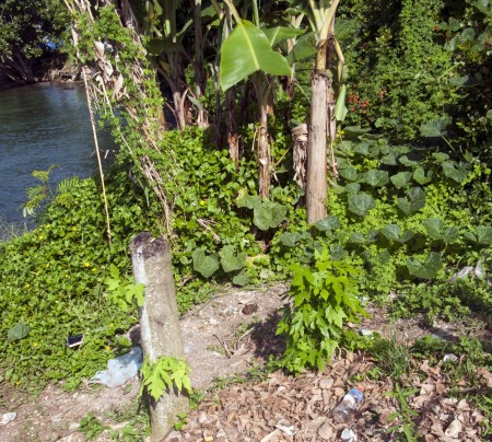 The toilet of the illegal buai market