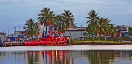 Tug boat in the morning light across the harbour from our house