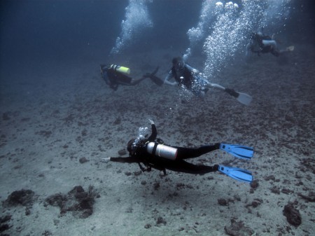 Dive buddies at Magic Passage