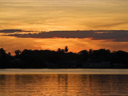 Sunrise with Flying Foxes