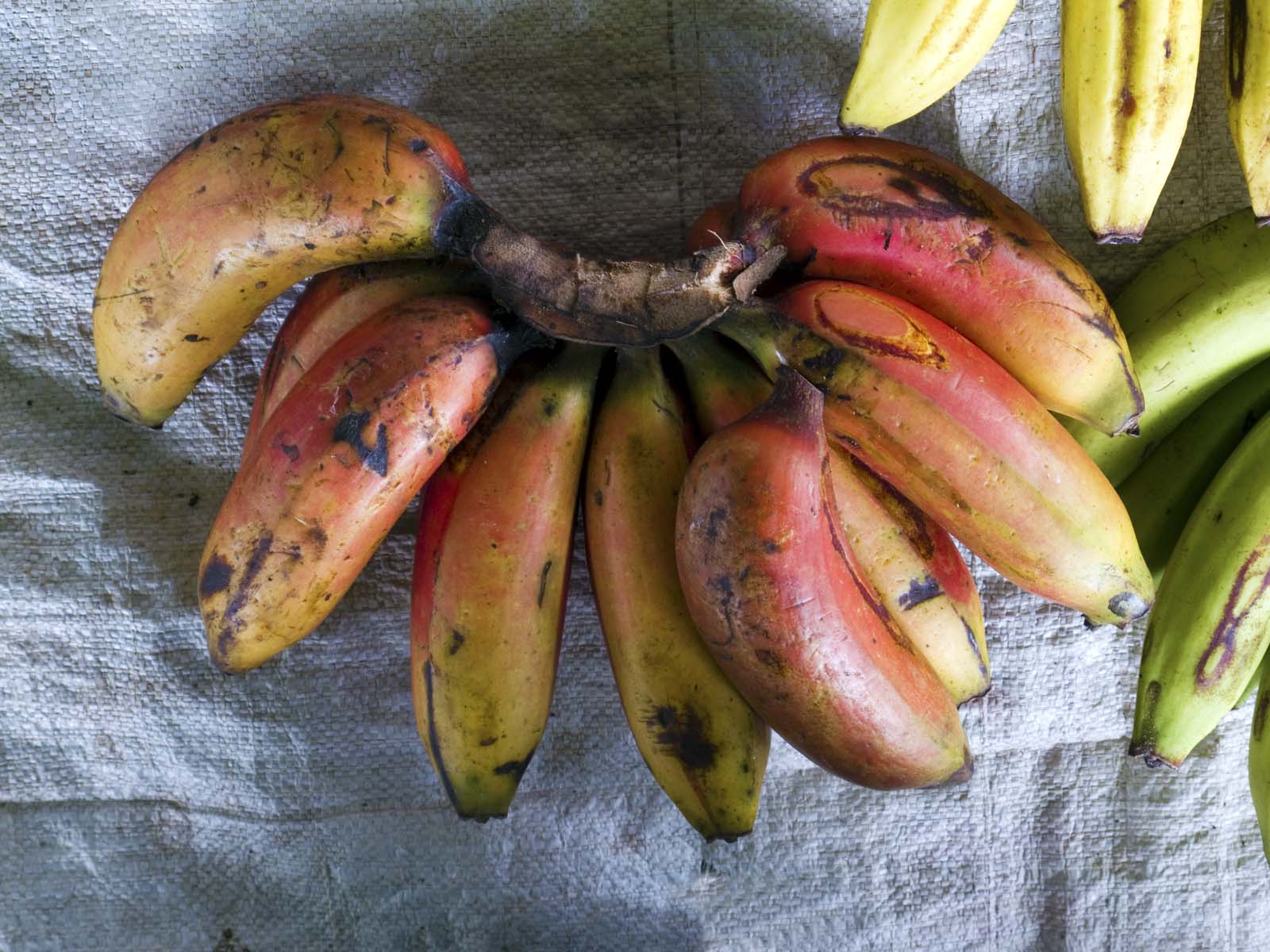 Red Banana