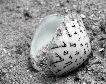 A shell - too lazy to look it up, but it's very common