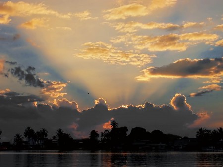 Sunrise
