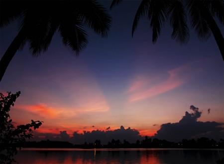 Sunrise with coconuts (yawn!)