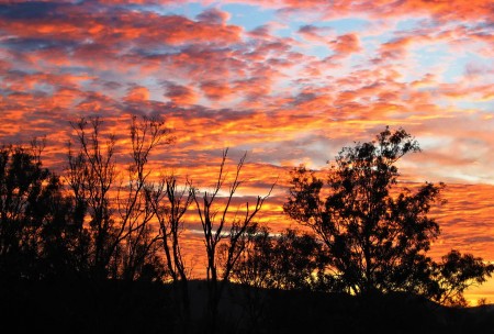 Sunrise at Mt. Beppo - Alison Raynor