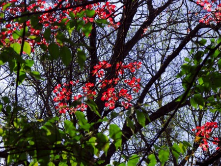 Secret Colours